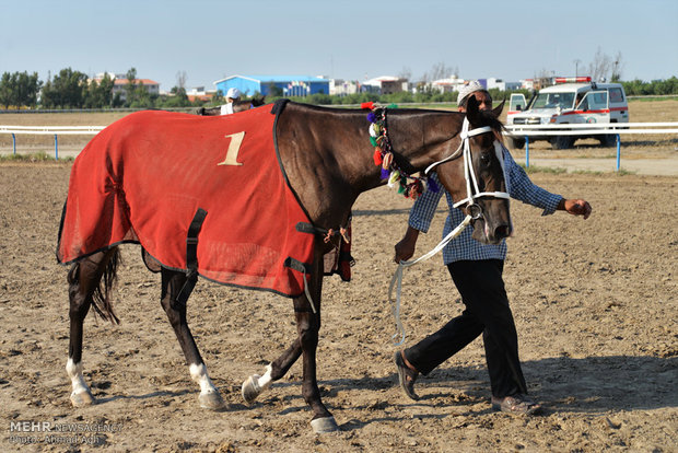 Bandar Torkaman Horse-riding course