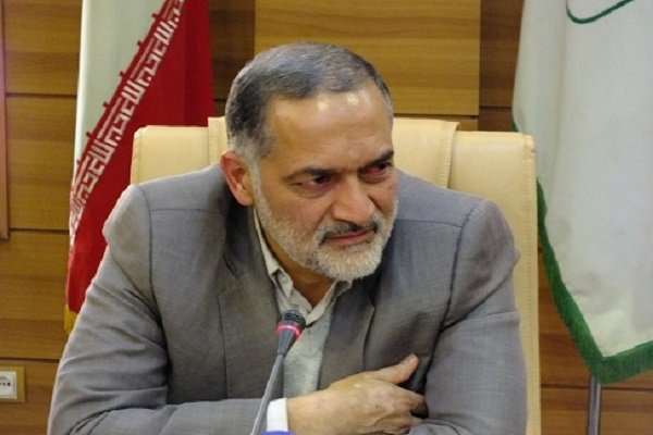 سیدمهدی هاشمی، نماینده مجلس