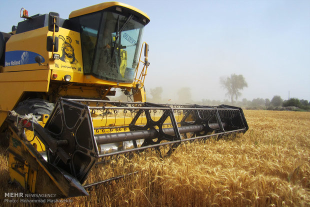 ۱ میلیون و ۸۰۰ هزار تن گندم از کشاورزان خرید  شد