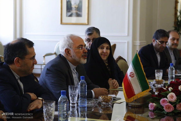 Zarif, Fabius meet