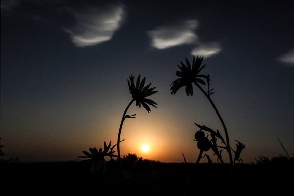 نمایشگاه تخصصی عکس خبری در اردبیل برگزار می‌شود