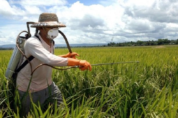 Iranian researcher develops cleaner nanopesticide 