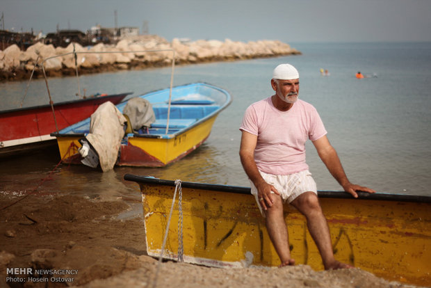 Bushehr Beach