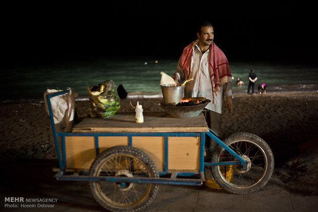 Bushehr Beach