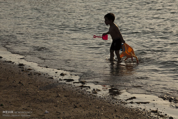 Bushehr Beach