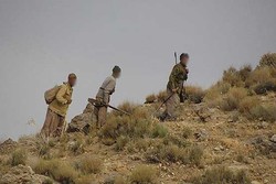 سه شکارچی غیر مجاز در استان کرمانشاه دستگیر شدند