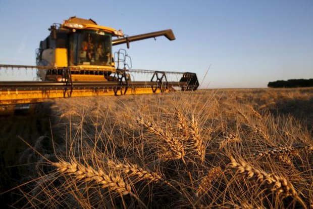 Global food price hits lowest in six years