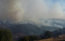 آتش جنگل و مراتع را در منطقه حفاظت شده خاییز درنوردید