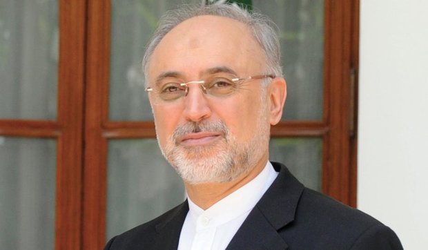 Iran to continue its nuclear R&D: Salehi