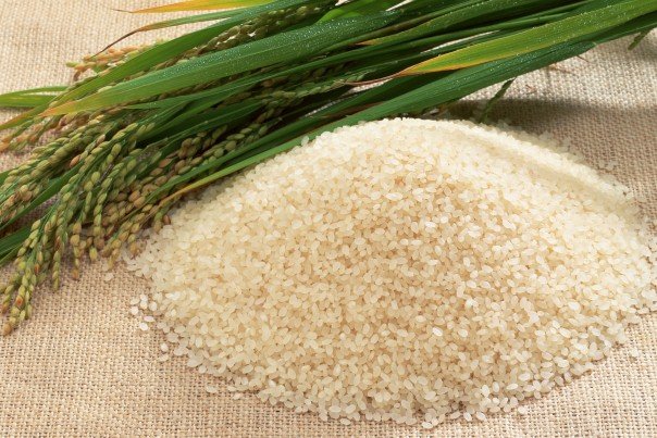 برندسازی برنج ایرانی کلید خورد