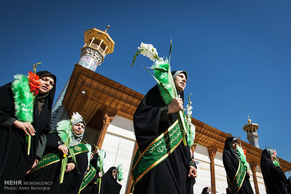 پیاده روی بانوان شیرازی در سالروز ولادت حضرت معصومه (س)