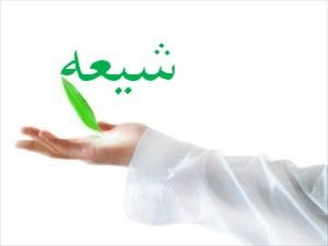عدالت حضرت علی(ع) دلیل گرایش ایرانیان به مذهب شیعه بود