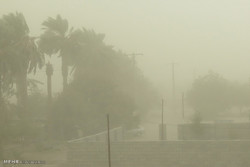 ذرات گرد و خاک در راه استان بوشهر/ آسمان غبارآلود می‌شود