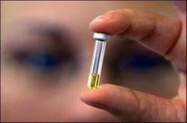 Iranian nano-drug cures cutaneous leishmaniasis