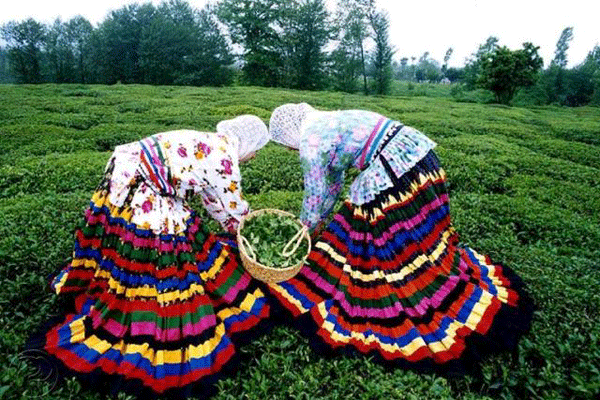 سفری به روستای موزه ای ایران در قاسم آباد