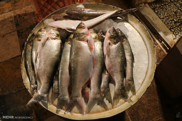 سوق السمك في ابادان