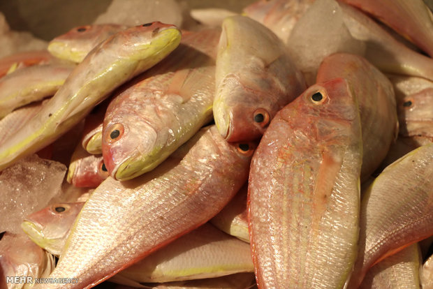 نرخ جدید مرغ و انواع ماهی در بازار 