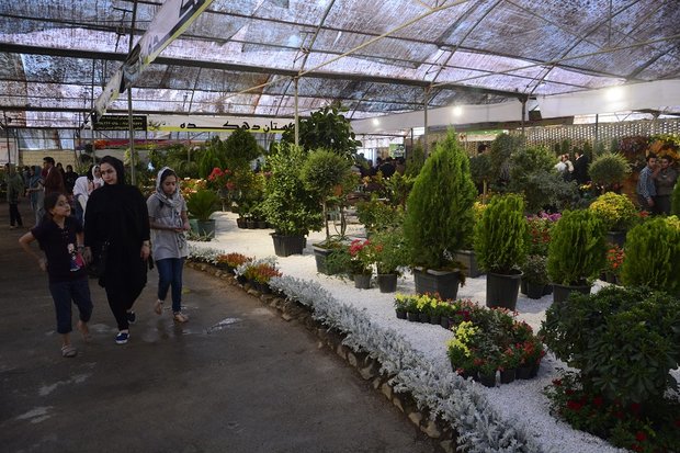 Mahallat Flora Fair opens