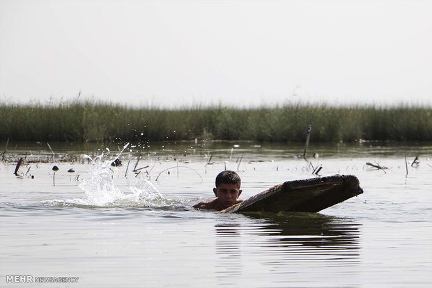 تیغ پتروشیمی بر گلوی تالاب شادگان / تالاب با زهاب نیشکر زنده است 5