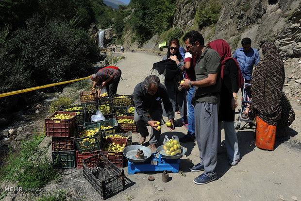 Local Market in Masouleh Village