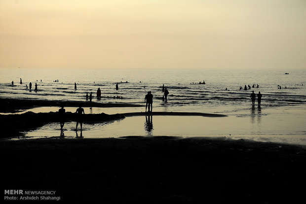 The Beach