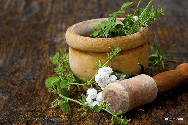 Iran’s traditional medicine probable to be globalized