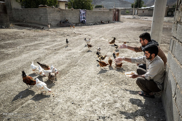 فعالان اردوی جهادی شهید چمران