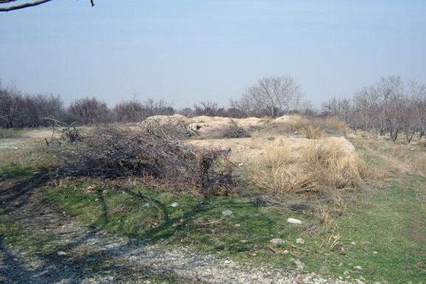 زنجیره شکوه قرهتپه از شهریار تا اسپانیا زنجیره شکوه قرهتپه از شهریار تا اسپانیا