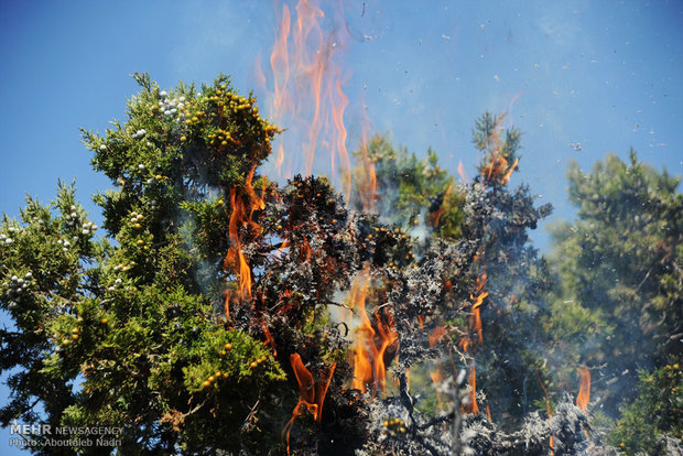 ۱۰۰ هکتار از اراضی مرتعی پارک ملی گلستان در آتش سوخت