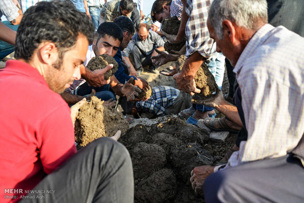 بازگشت پیکر جان‌باختگان فاجعه منا به گنبد کاووس