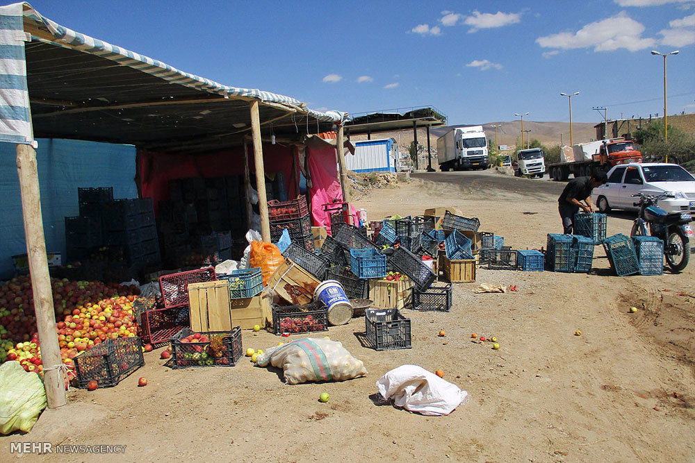 بازار سیب صنعتی آذربایجان غربی ساماندهی شود؛ خرید ۴۰ هزار تن محصول