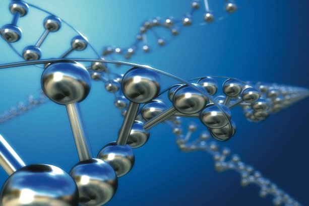 ZnSn nanoparticles synthesized for optical purposes