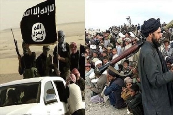 طالبان گروهی ویژه برای مقابله با داعش ایجاد کرد