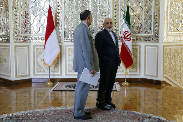 Iran, Indonesia FMs 