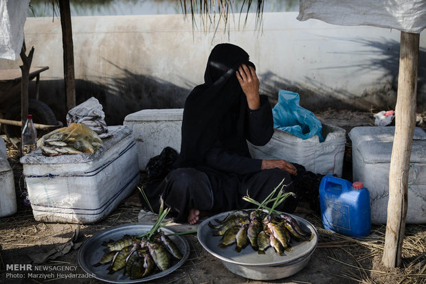 ساخت سد «مارون ۲»جان میگیرد/یک زمین سوخته درخوزستان باقی میماند
