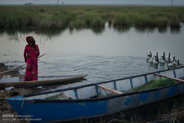 تیغ پتروشیمی بر گلوی تالاب شادگان / تالاب با زهاب نیشکر زنده است 6
