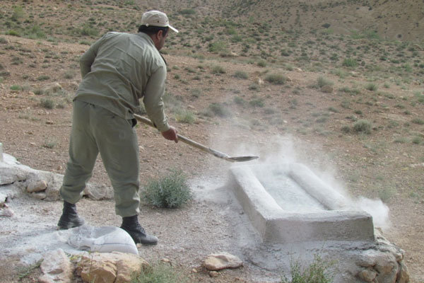 مردم نگران شیوع طاعون نشخوارکنندگان نباشند