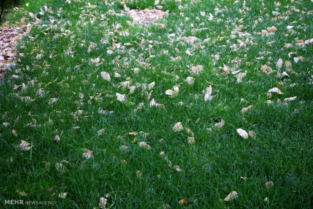 Beauties of autumn in Mianeh