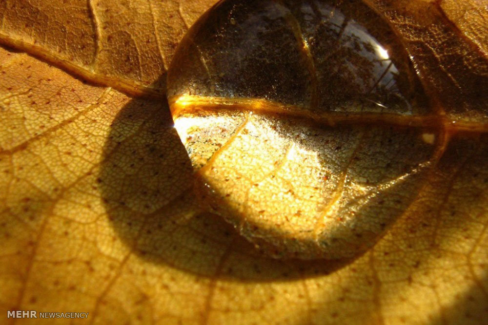 Beauties of autumn in Mianeh