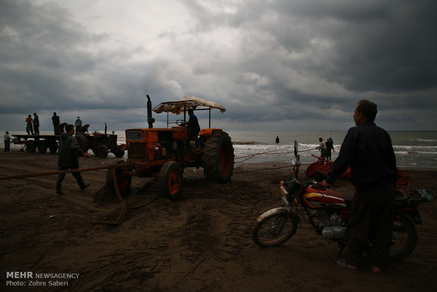 Fishing along coast of Caspian Sea