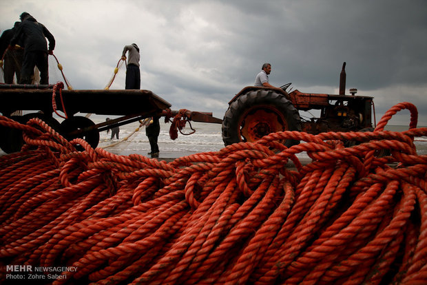 Fishing along coast of Caspian Sea