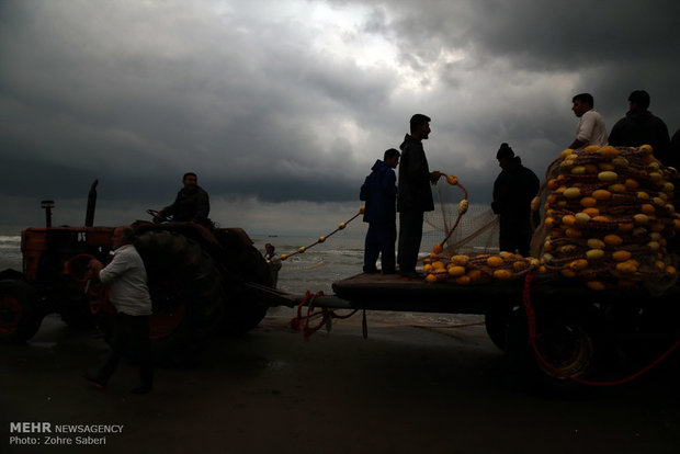 Fishing along coast of Caspian Sea