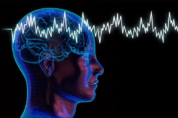 Iranian researchers use stem cells in treating Parkinson's disease