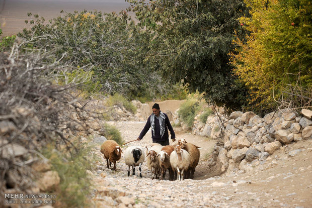 Şahrud'un Dezyan köyü