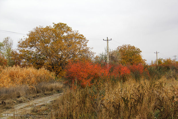 Beautiful autumn days in Urmia