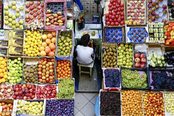 آغاز برخورد با عرضه میوه‌های قاچاق در میادین و بازار/ میوه‌های ممنوعه باید امحا شوند