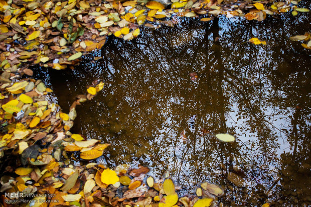 Autumn in Bojnourd