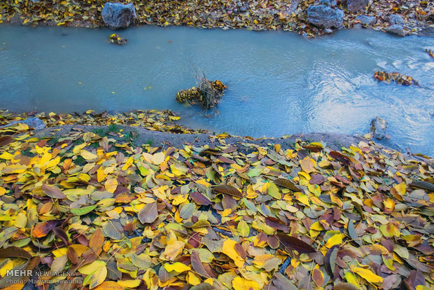 Autumn in Bojnourd