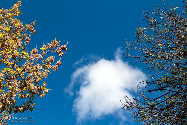 Autumn in Bojnourd