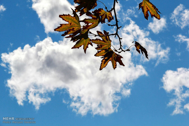 Autumn in Bojnourd